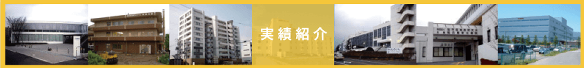 実績紹介